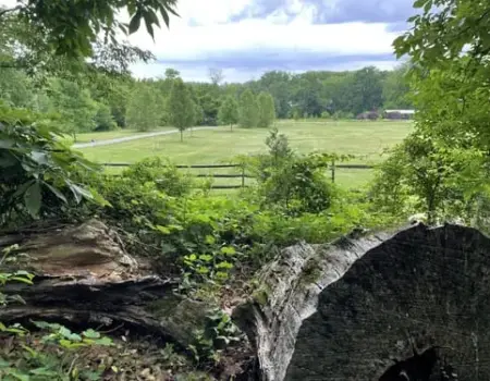 Harriet Wetherill Park in Plymouth Meeting PA Harriet Wetherill Park Plymouth Meeting